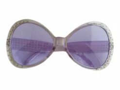 Feestbril Lila