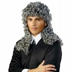 Grijze Rechter Pruik