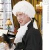 Mozart Feestpruik -PruikPret Winkel mozart feestpruik
